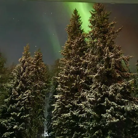 Northern Lights Haven Feriehus Rovaniemi